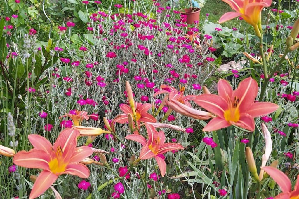 Gite Les Lilas La Genevraye Zewnętrze zdjęcie